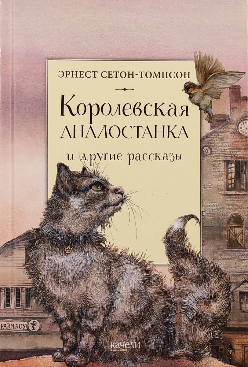 У меня лапки🐾┃25 книг о кошках | Книжный уголок▕ Reina Reading | Дзен