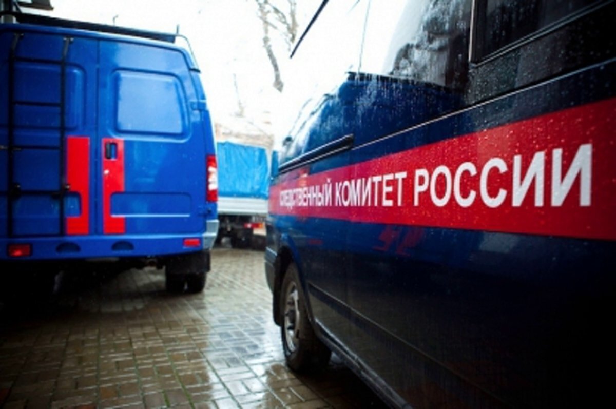    В Красноярске установили личность женщины, труп которой нашли у мусорки