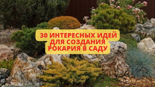 Рокарий своими руками. Что можно сделать из камней, собранных на участке. Часть 2