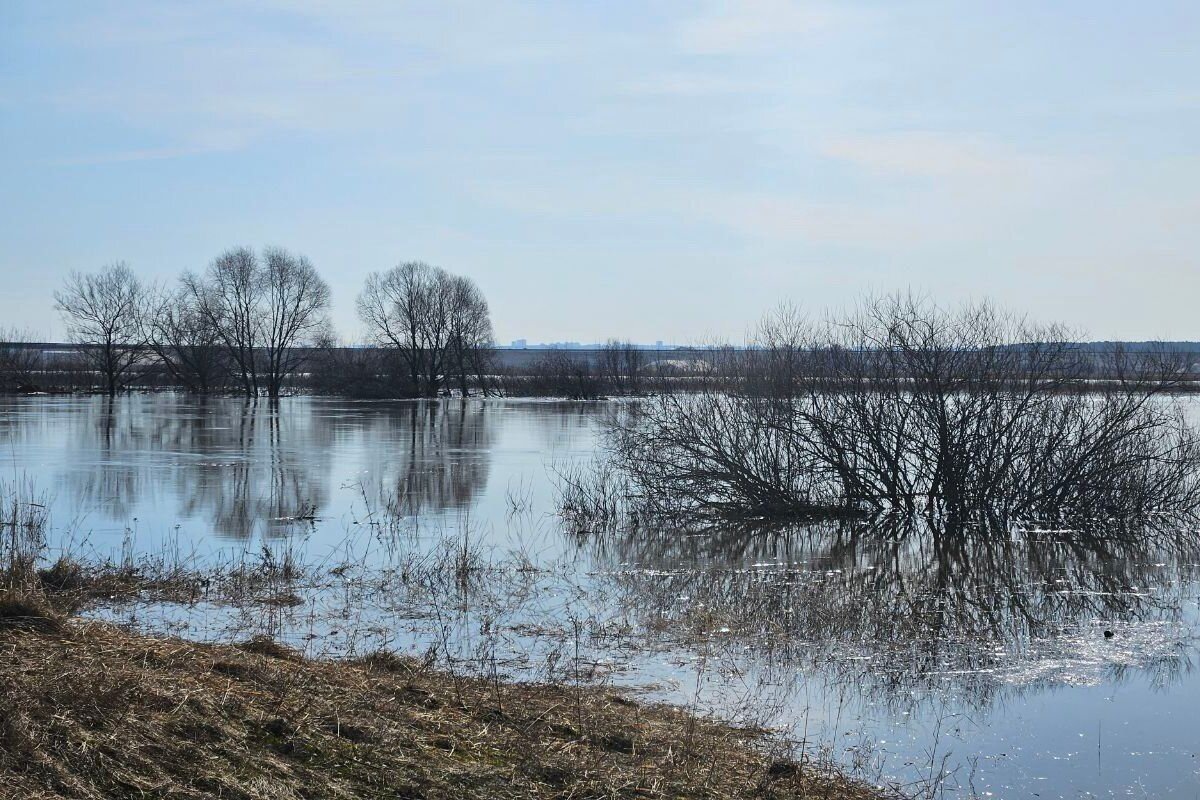 Берег пруда. Экологические ресурсы. Водоемы калужской области. Калужская область достопримечательности. Акция вода россии.