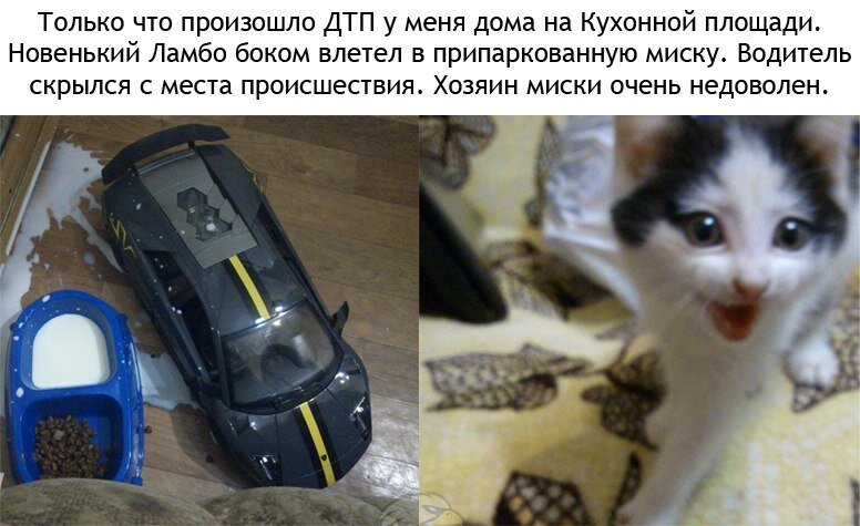 Фото: www.yaplakal.com