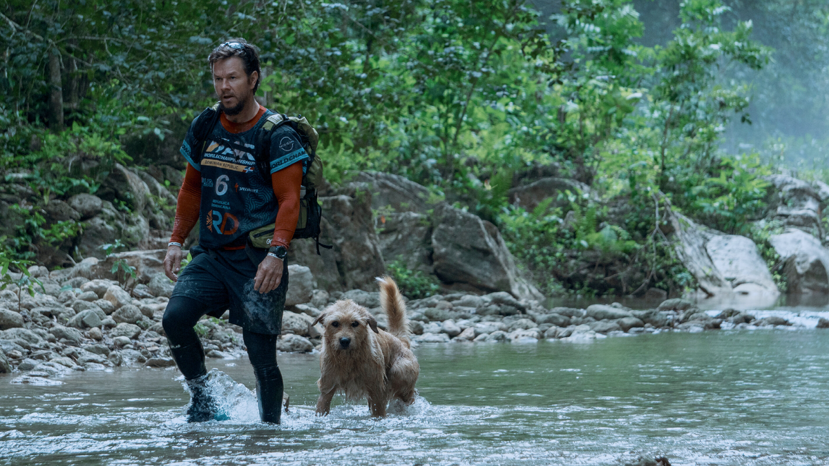 Кадр из фильма «Артур, ты король». © Режиссёр Саймон Селлан Джонс / eOne Films, 2024