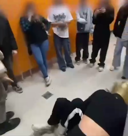 Сотрудница ТЦ не попыталась помешать школьникам. Ее действия оценят в СК. Фото: тг-канал Readovka