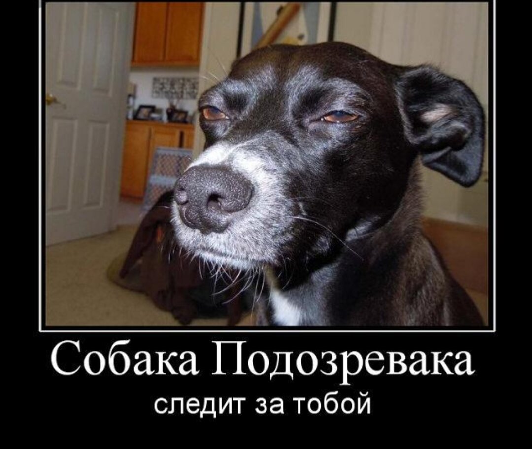 Мем подозревака