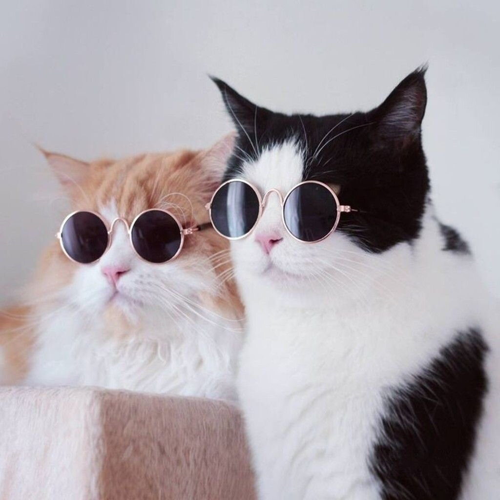 image by MeowMeowRepublic