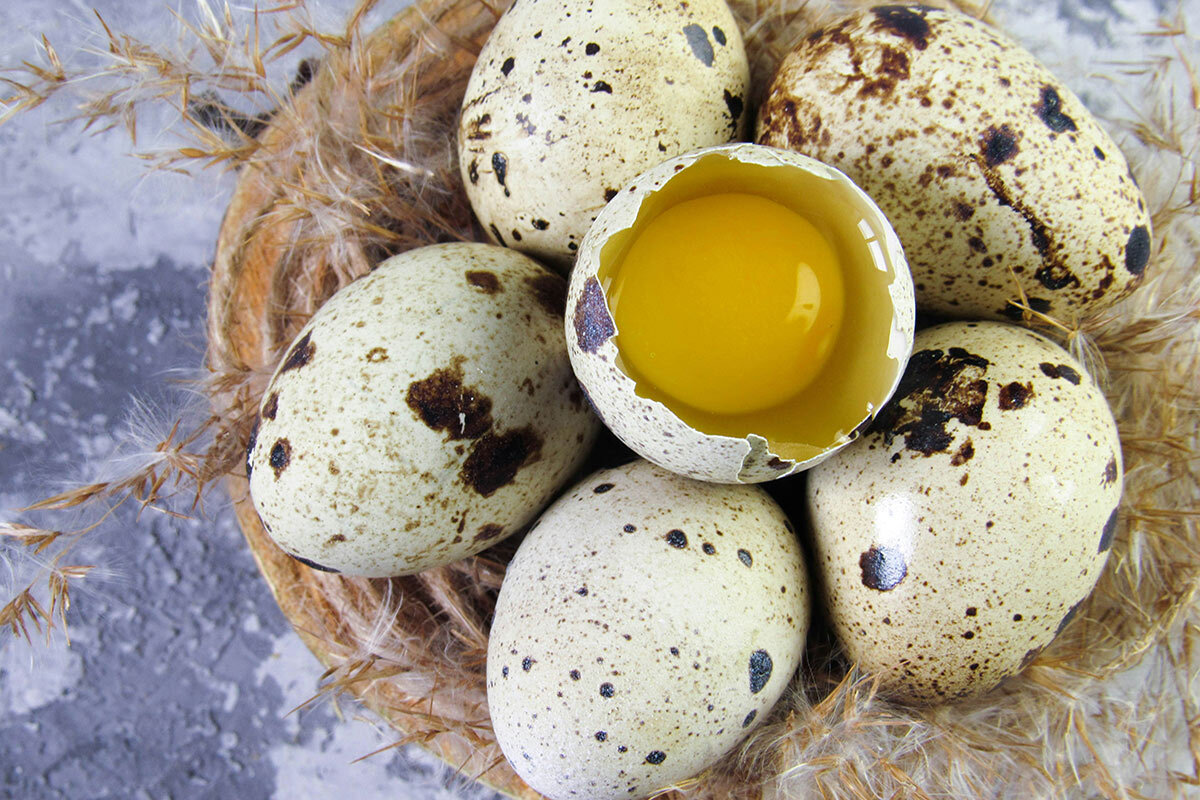    Фото: Karyna Panchenko / Unsplash.com