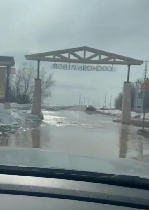    фото: скриншот видео телеграм-канала "В Татарстане поймут"