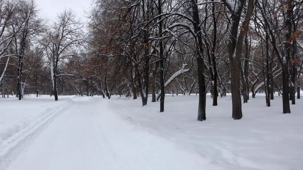     Петрозаводск оказался в тройке лидеров: рейтинг опубликовали в паблике о погоде.