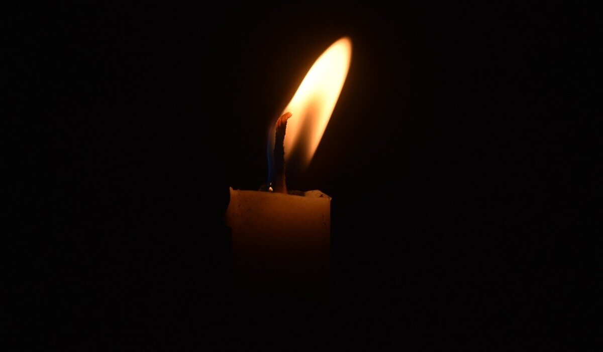    Фото: pixabay.com