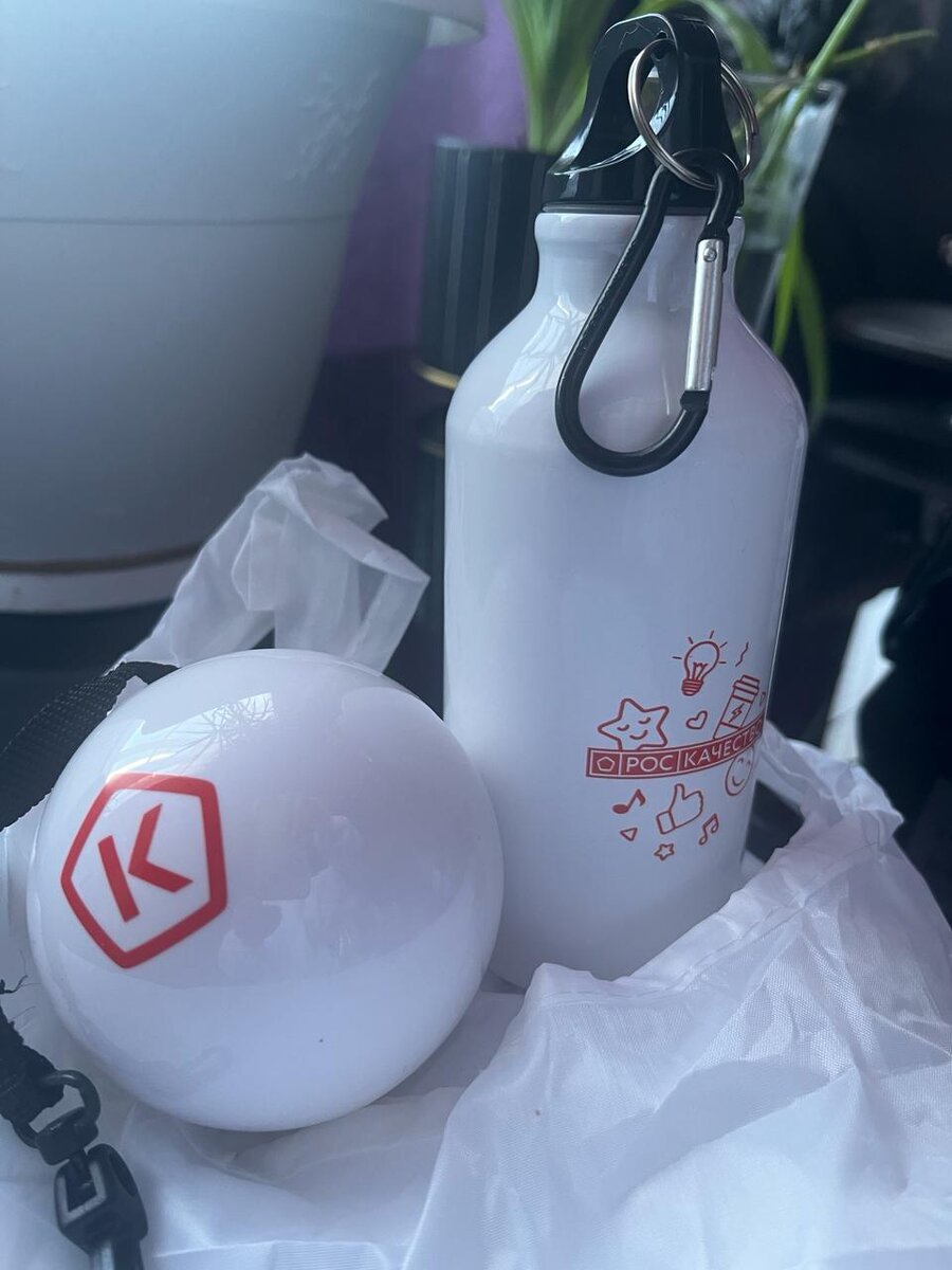 Подарки для кота. Фото автора