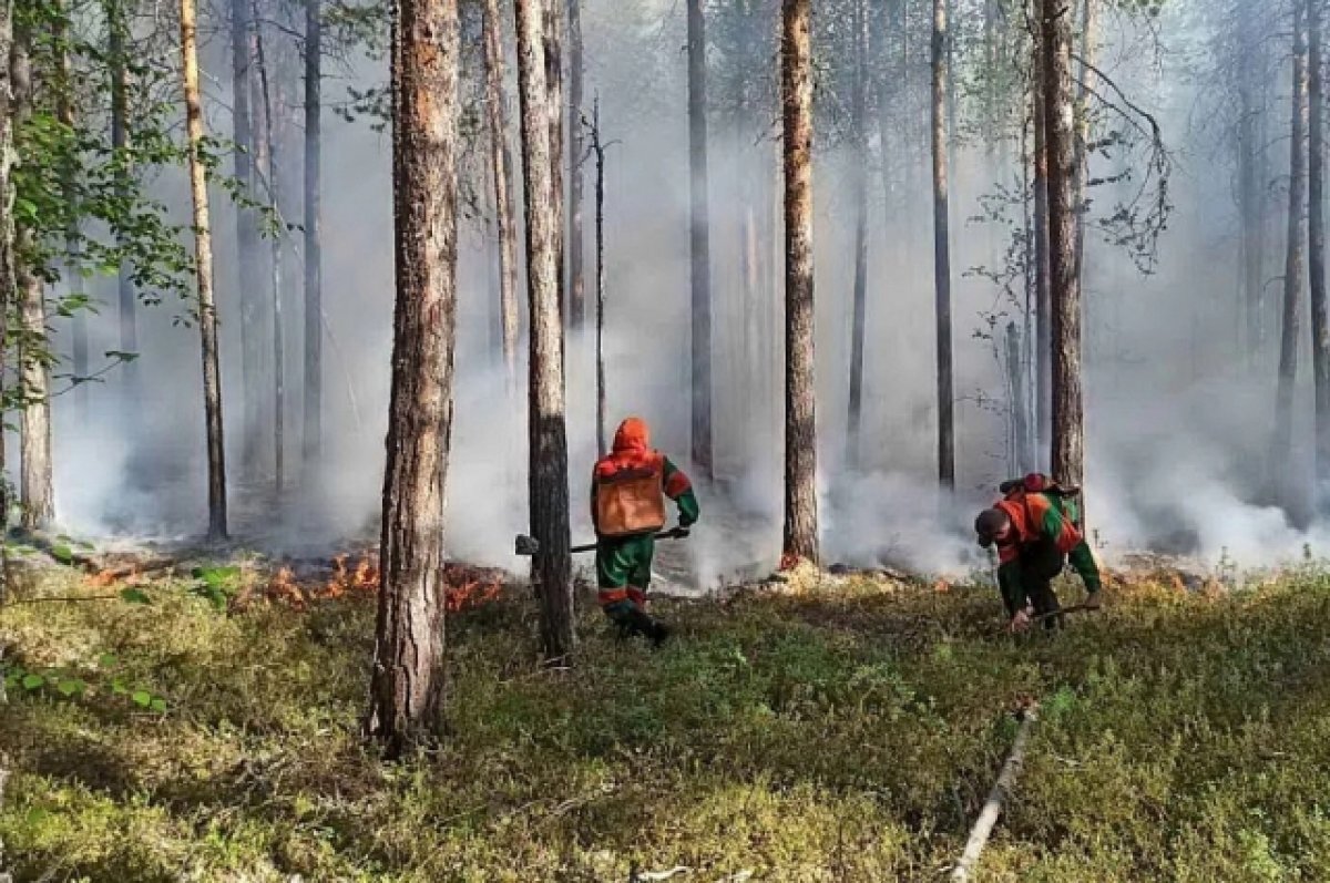    В Шурышкарском районе создают постоянные мобильные посты пожаротушения