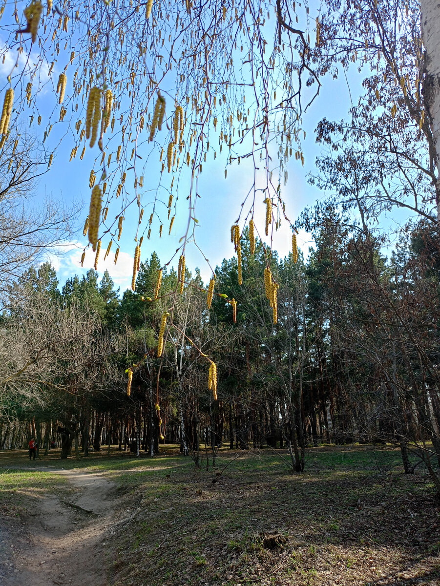 А, уж, когда погодка такая, то и совсем красота!