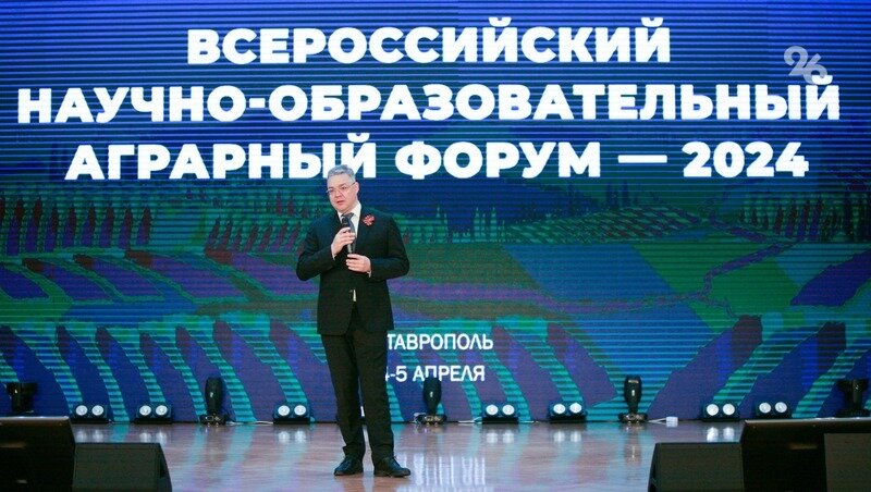      Фото: Дмитрий Ахмадуллин / / ИА «Победа26»