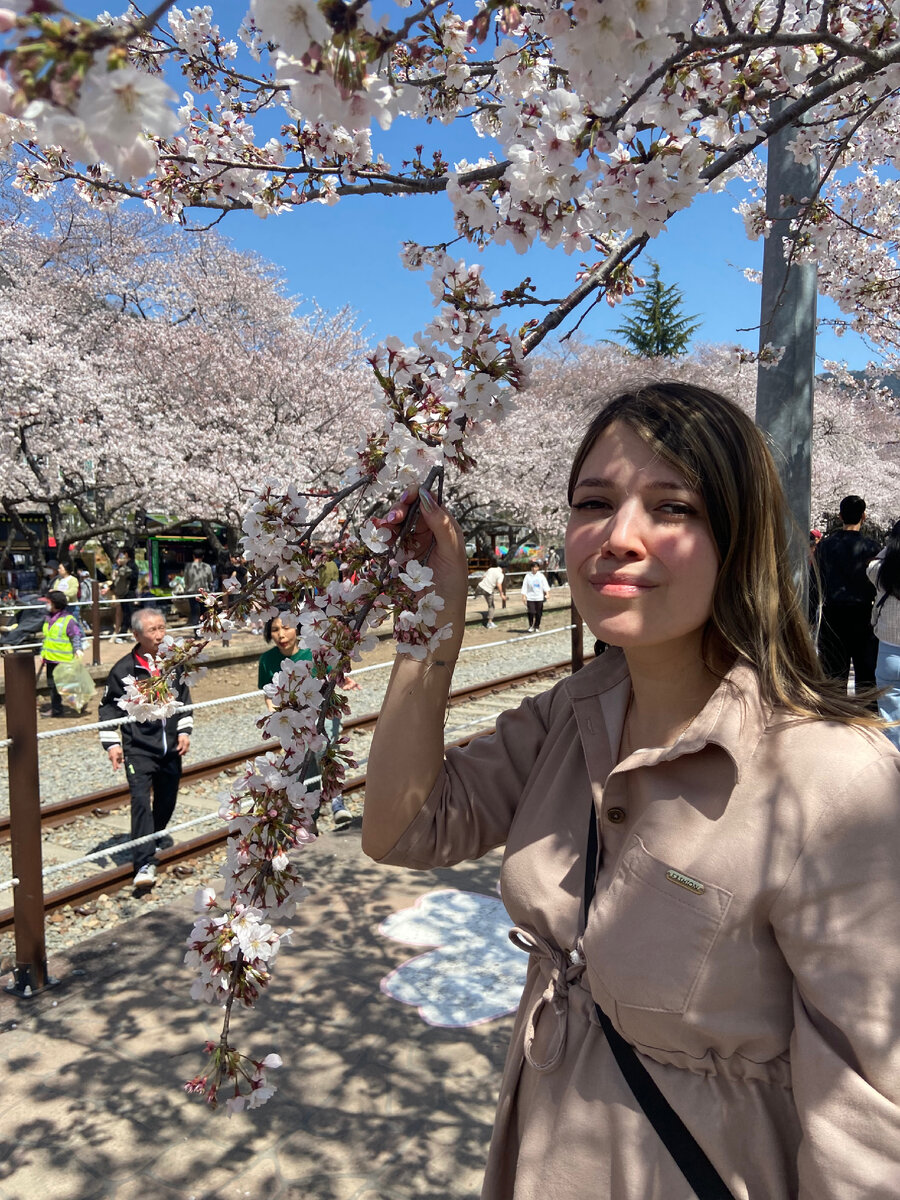 Встречаю свои 30 лет на цветении сакуры в Кореи 😍