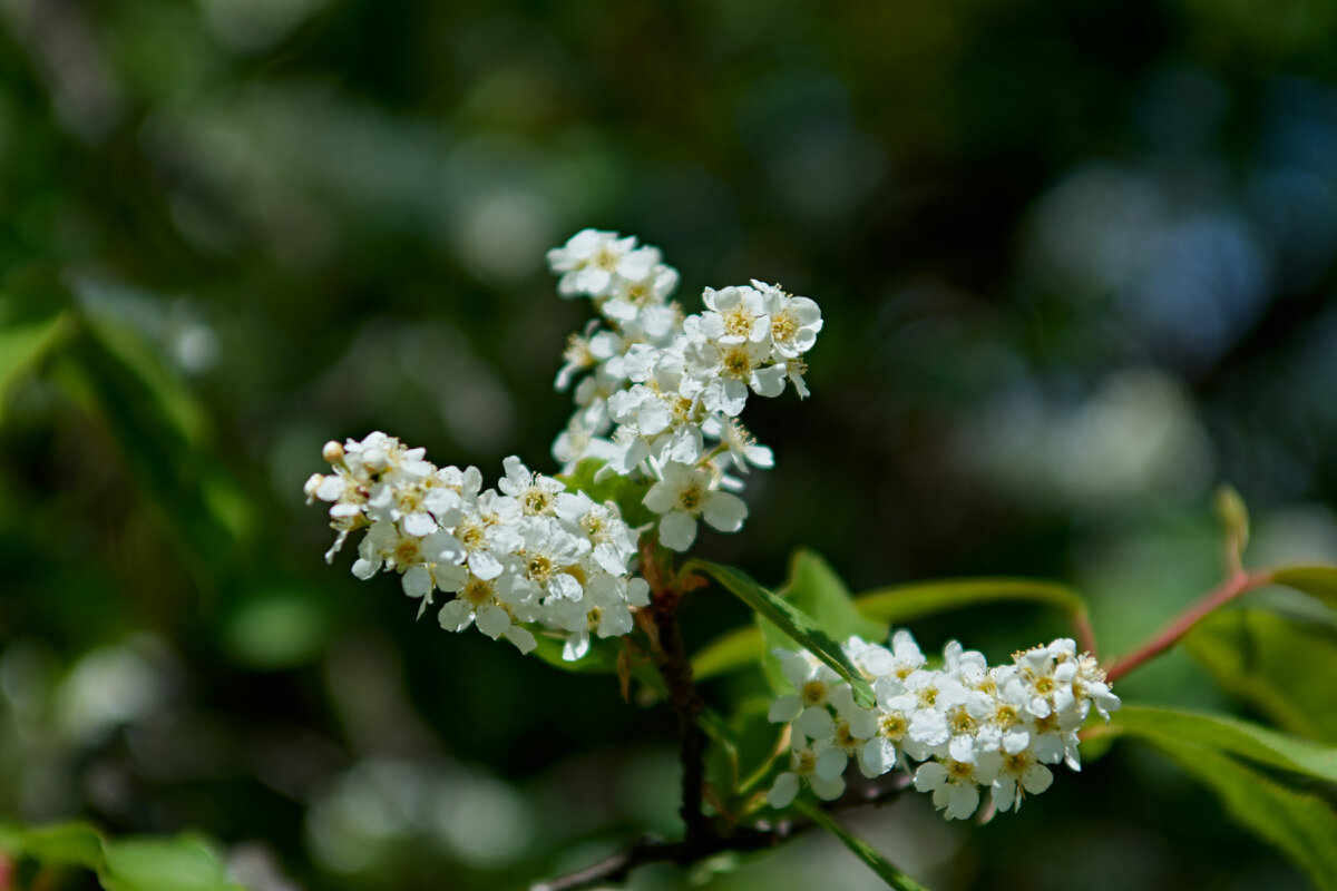 Фото сделано другом автора