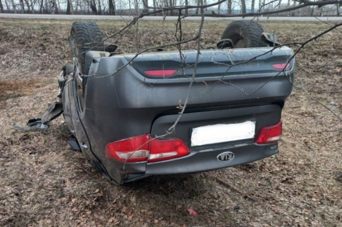    2 человека пострадали в аварии с микроавтобусом в Воронежской области