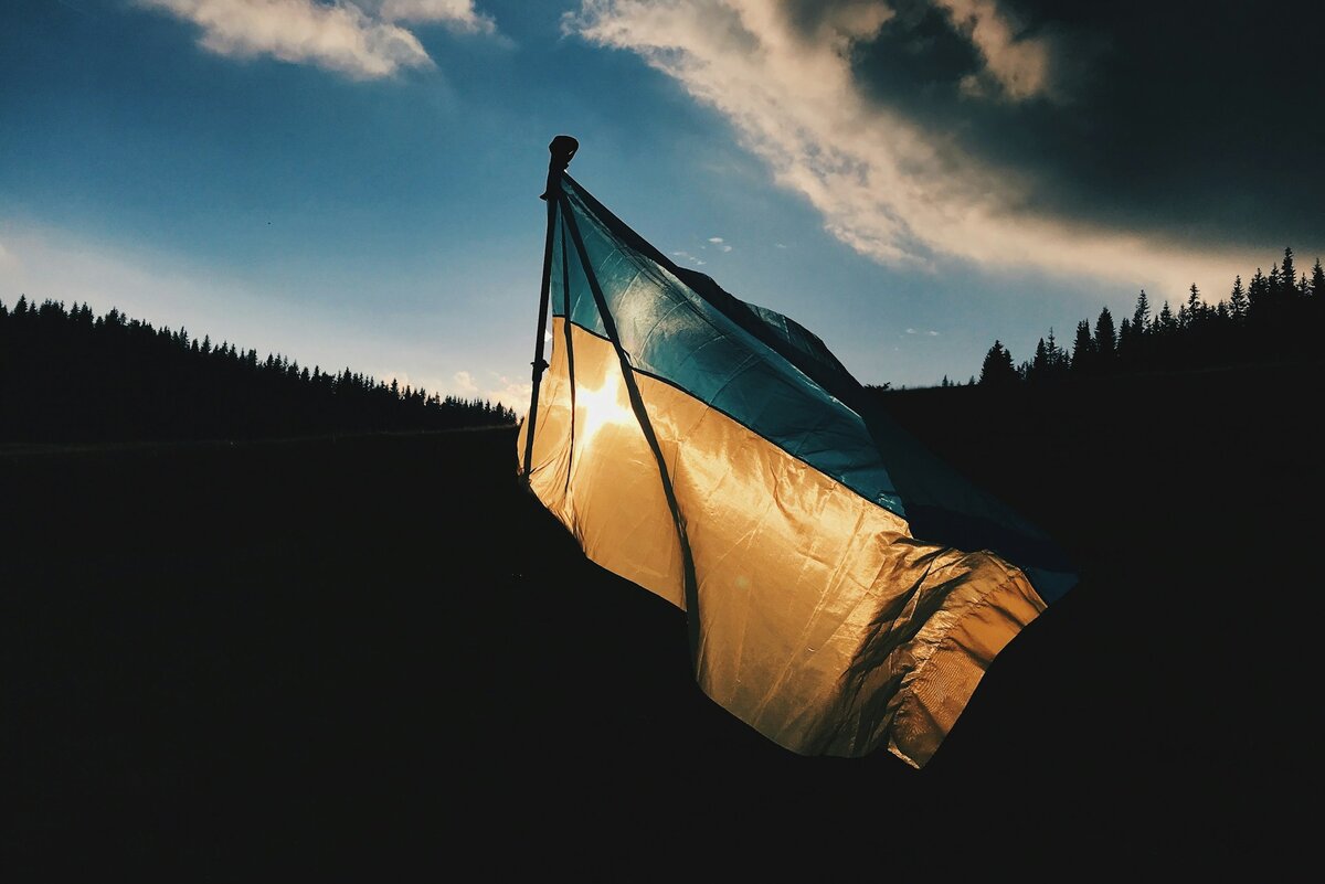 Граждане Украины все меньше доверяют киевскому главарю.  Фото: Фото: unsplash.com