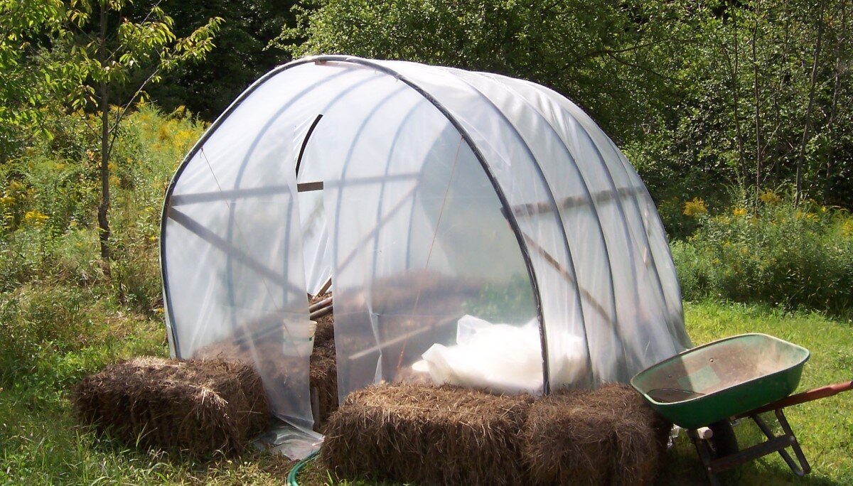 Источник фото: pxhere.com 