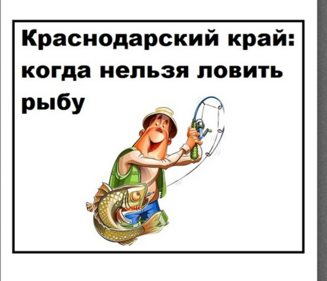 Сроки нерестового запрета в 2024 году

Запретные сроки добычи водных биоресурсов в Краснодарском крае:

С 15 ноября по 31 марта — повсеместно на внутренних водных объектах осуществлять подводную охоту.

С 1 февраля по 1 мая — в Ейском, Бейсугском и Ахтарском лиманах.

С 1 марта по 31 мая — в азовских лиманах Краснодарского края (кроме лиманов Ейского, Бейсугского и Ахтарского).

С 15 мая по 15 июля — на всей акватории Кубанского водохранилища.

С 15 апреля по 15 июня — запрещен лов  рыбца.

С 1 января по 31 мая — камбалы-глоссы в Азовском море, Керченском проливе и заливе Сиваш.

С 1 июля по 31 июля — креветок черноморских в Азовском море, Керченском проливе и заливе Сиваш.

С 15 января по 28 (29) февраля — щуки в водных объектах рыбохозяйственного значения Краснодарского края. В это время она нерестится.

С 15 марта по 30 апреля — тарани и плотвы в Азовском море, Таганрогском заливе, реке Кубань ниже Краснодарского гидроузла с притоками, реке Протока и в бассейнах всех впадающих в море степных рек.

С 1 апреля по 30 апреля — кефалей (сингиль, лобан, остронос) повсеместно.