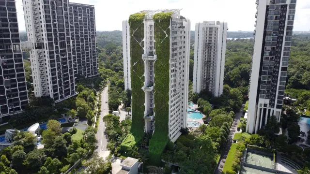 Фото: https://www.archigardener.com/