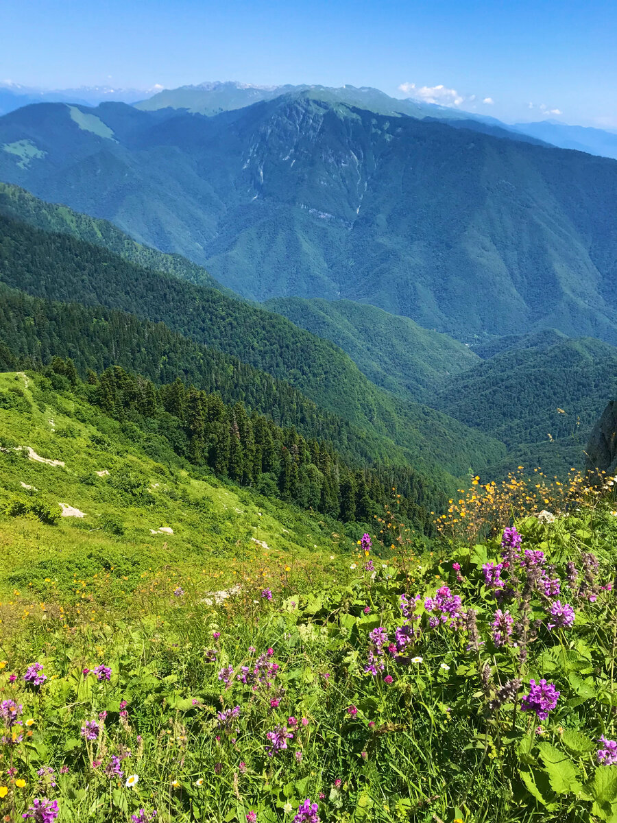 Гора Мамзышха, самая вершина, 2023 год, Абхазия 