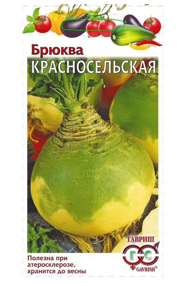 Дайкон, репа, редька, брюква и капусты – мои впечатления от посадок | Свет  в окошке | Дзен