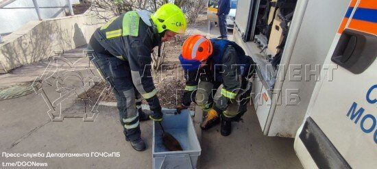    Фото: Управление ГОЧСиПБ по ЮЗАО