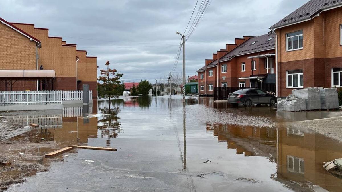    Фото: Пресс-служба администрации городского округа Химки