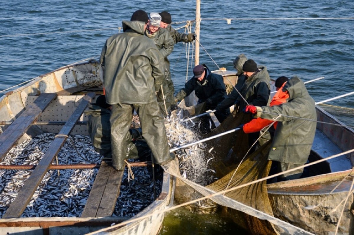    Хотим строиться!