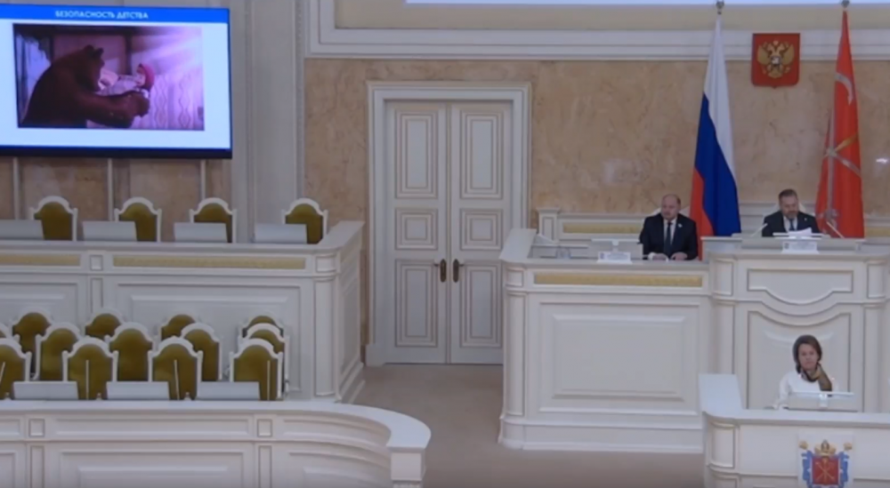    Выступление Анны Митяниной в Законодательном собрании Петербурга. Фото: скриншот видео