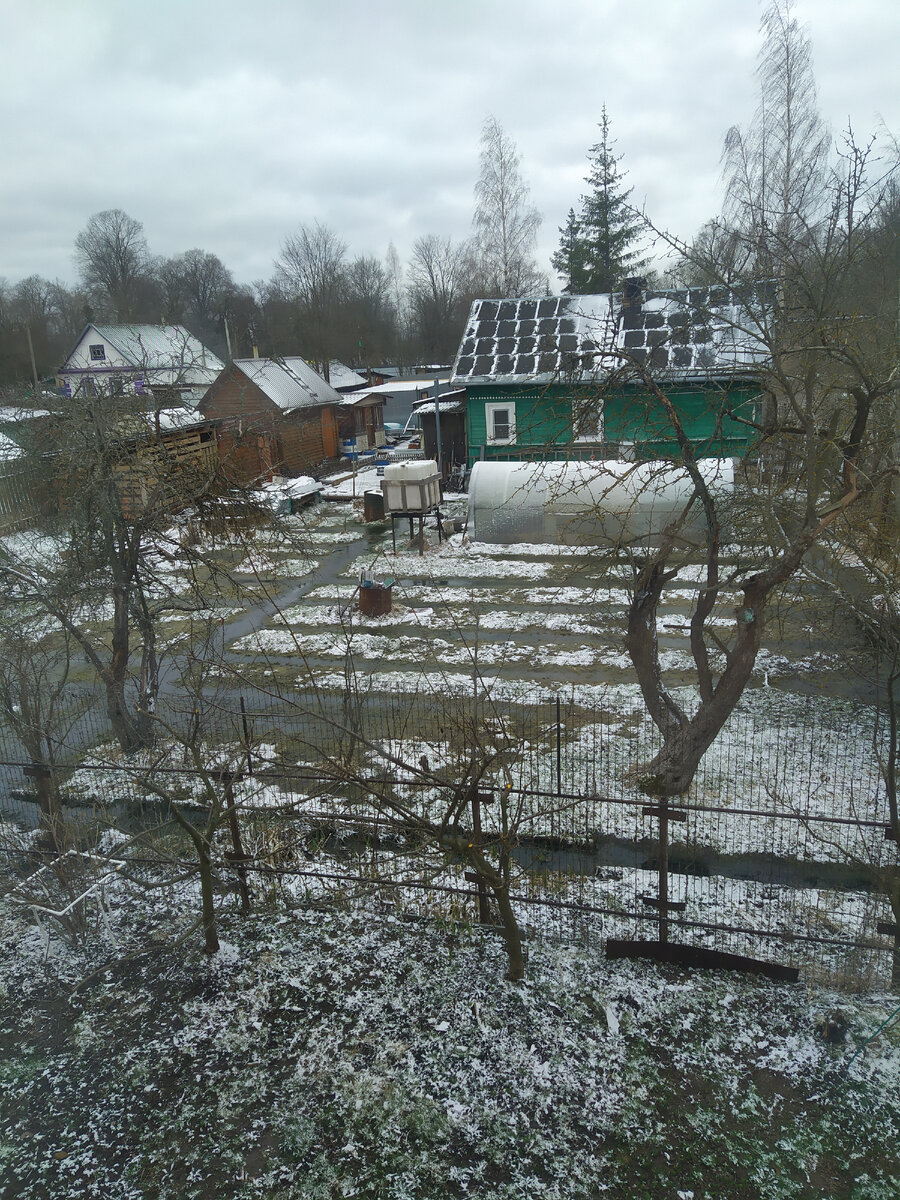 Зима не даром злится, пришла её пора... (С) 