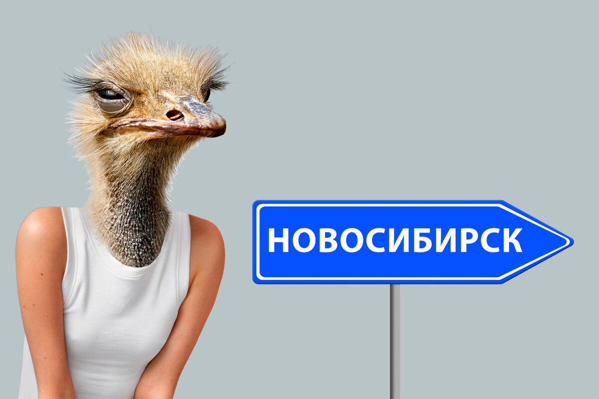 Источник изображения: freepik.com