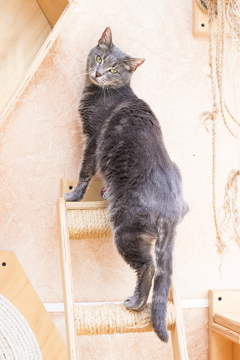 вот на этом фото - статуэточка 