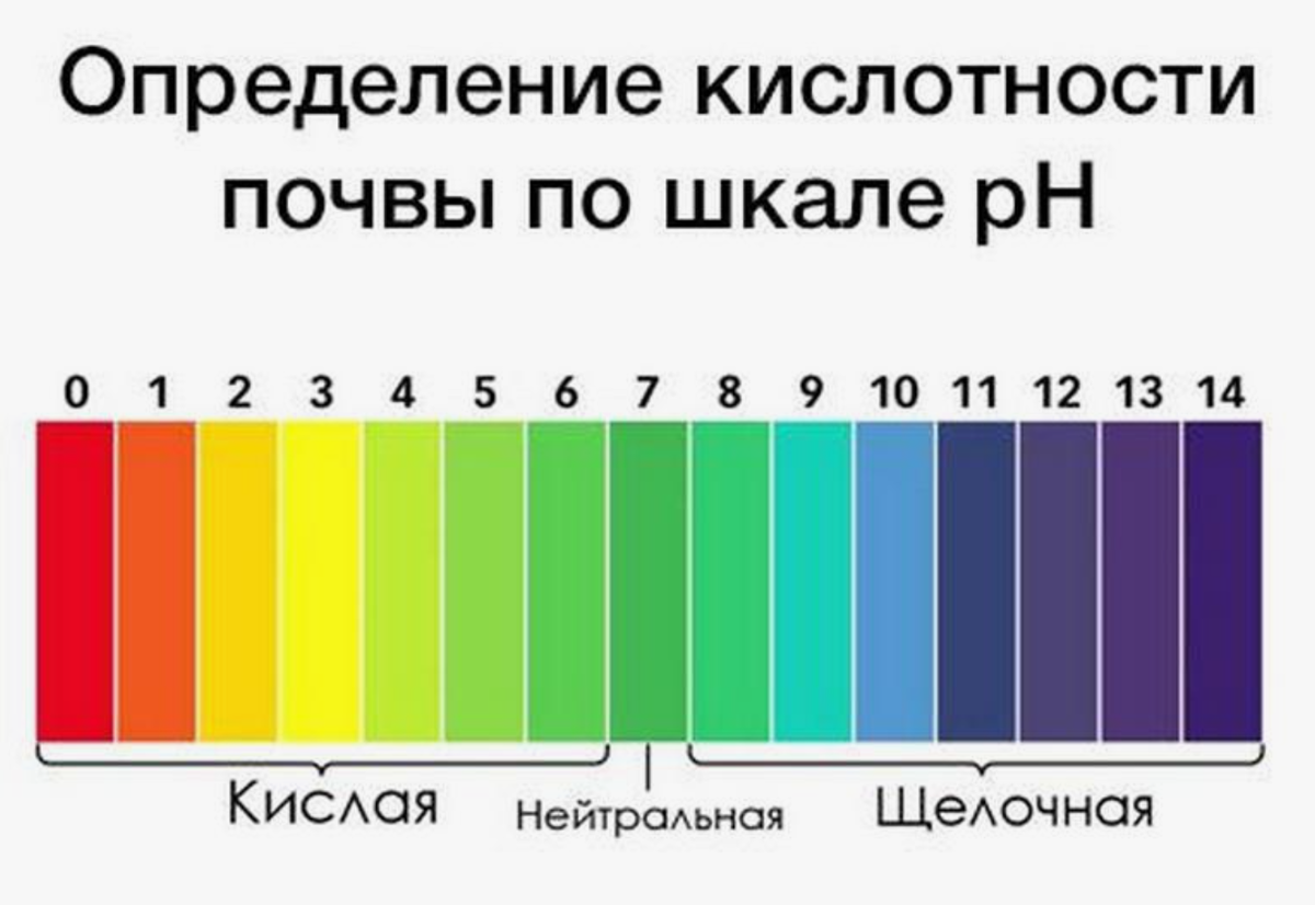 Цвет чистоты это. Шкала PH почвы кислотности почвы. PH кислотность 4,5 это.