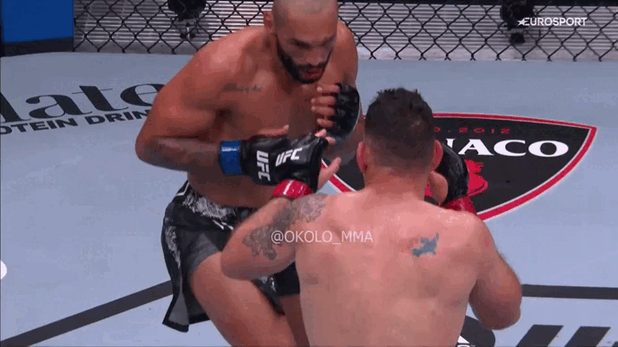 Финал боя, Вайдман втыкает с обеих рук, а потом добивает Силву упавшего на пол и закрывшего глаза руками 