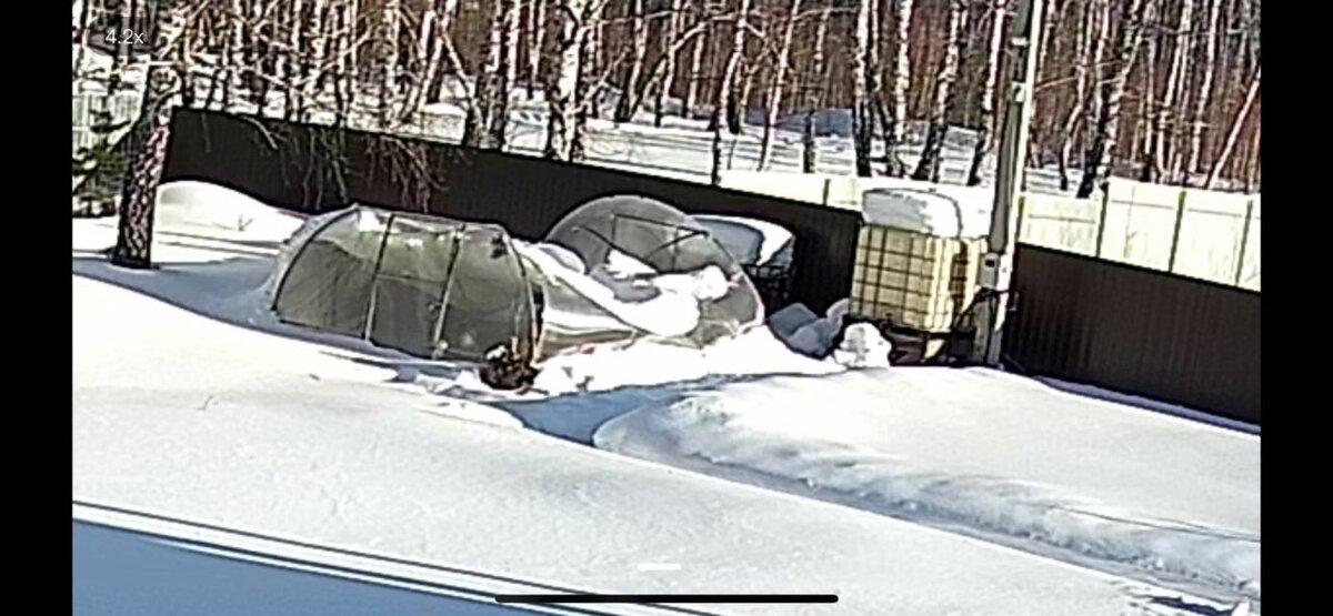 Еще одна знакомая не досчиталась теплицы зимой - моё фото