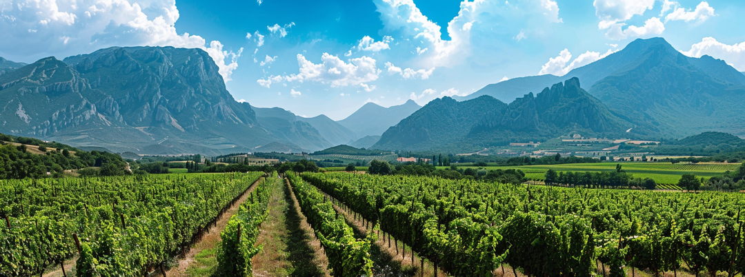 ЛУЧШЕЕ ВИНО ИЗ САПЕРАВИ В РОССИИ. АПРЕЛЬ 2024