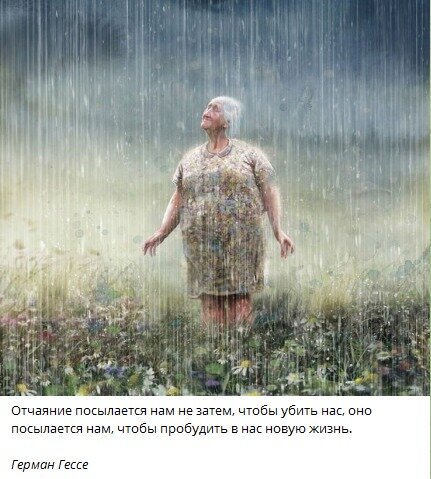 Девушка прислала картинку сегодня.