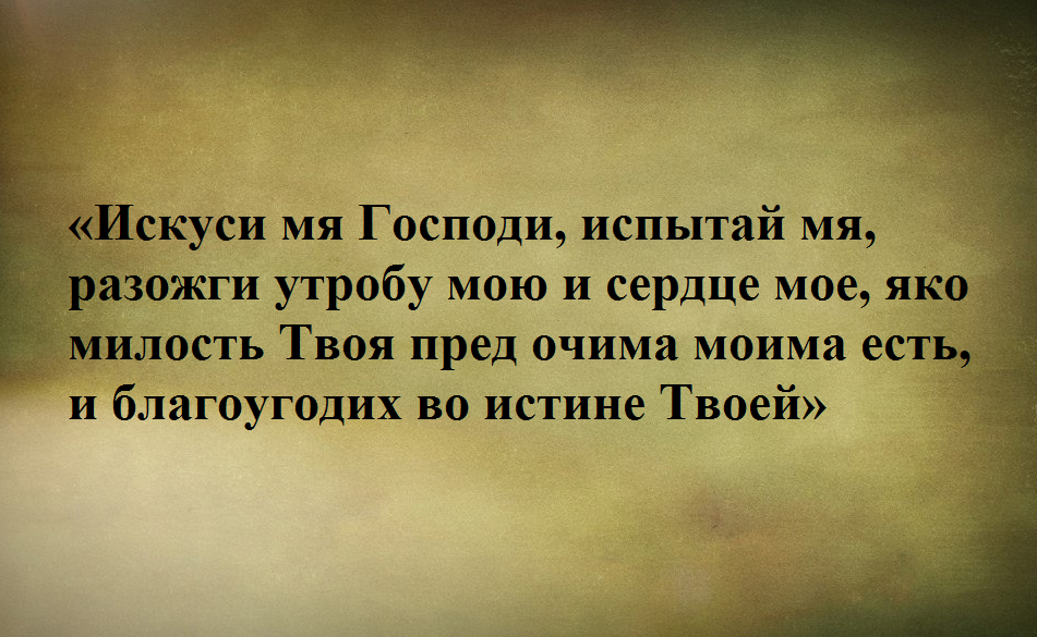 Как стихи влияют на память? | tabakhqd.ru | Дзен