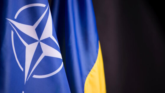    Глава МИД Эстонии признал, что членство Украины в НАТО не будет главным вопросом летнего саммита Роман Захаров