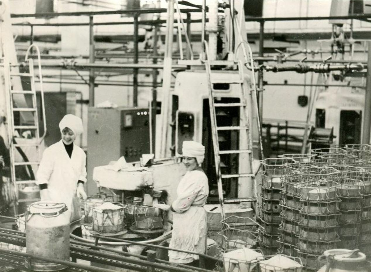 Поточная линия расфасовки молока в пакеты на молочном заводе, Калинин (Тверь), СССР. 1982 год. Фотография: А.К. Рождественский / Тверской государственный объединенный музей, Тверь