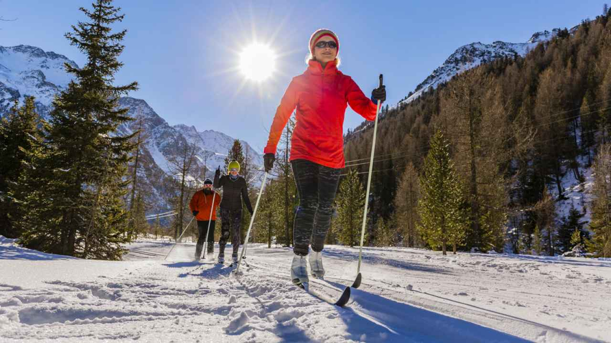 Фото: gorillaimages / Shutterstock