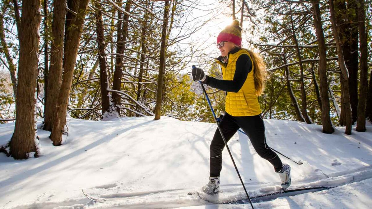 Фото: GROGL / Shutterstock