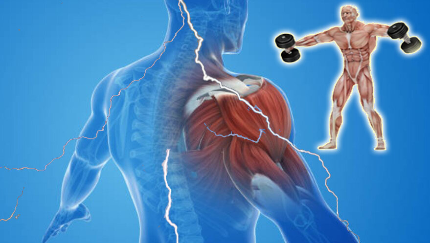 Источник: www.istockphoto.com