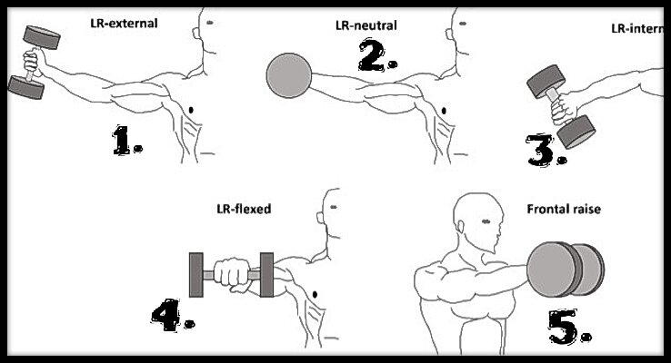 Источник: https://pubmed.ncbi