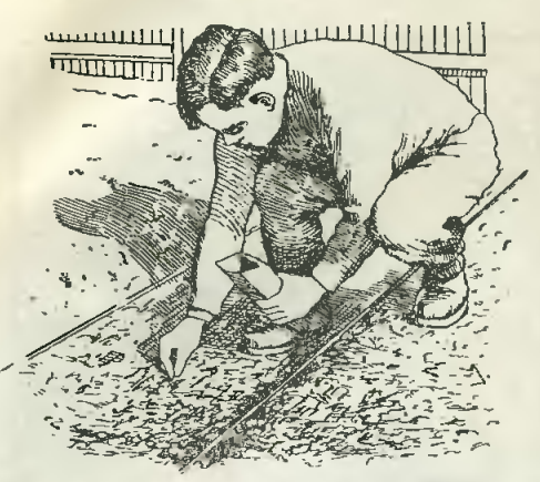 Соблюдение расстояния между семенами