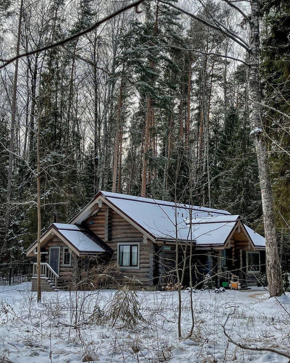 Экоотель "Романов лес"