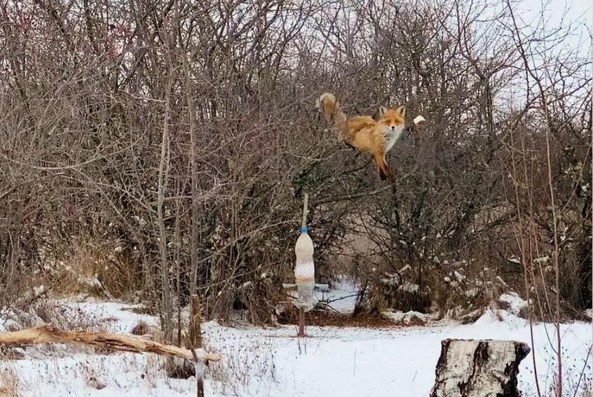 Бывает и так)))