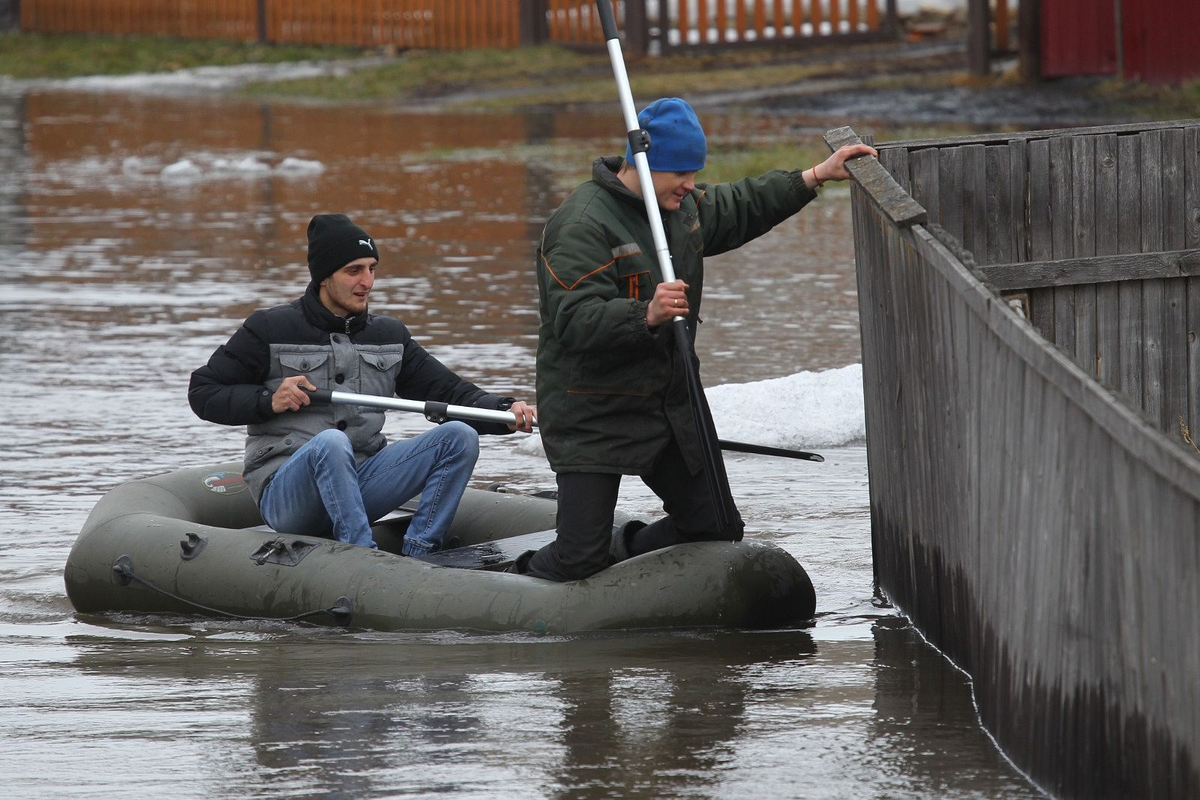 Фото: Андрей Каспришин  