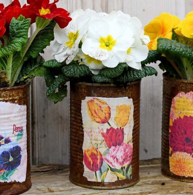    Жестяной   
Источник: «Picture box blue»